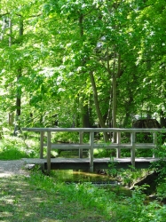 Eine Holzbrücke am Sta...