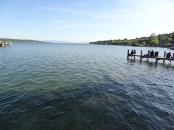 Nordufer des Starnberg...