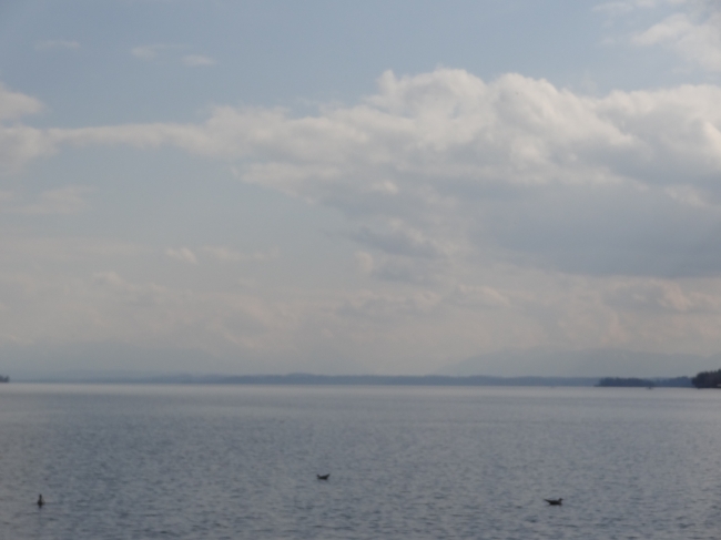 The Alps on the horizon, Starnberger See