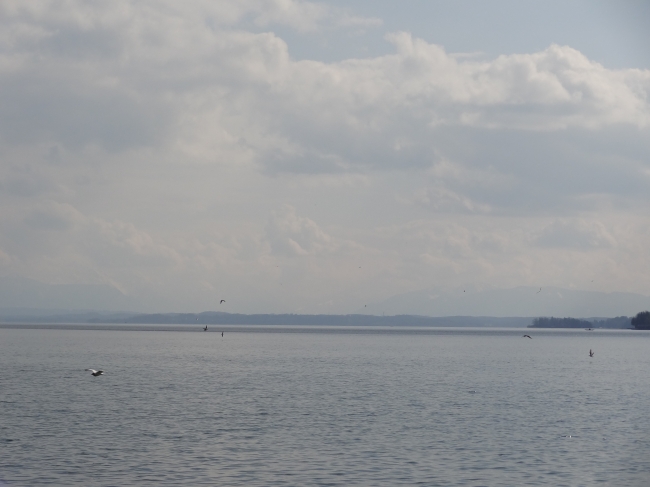 The Alps, Starnberger See