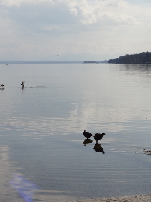 Starnberger See, 