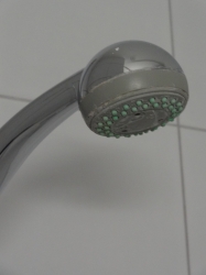 Rotten shower head