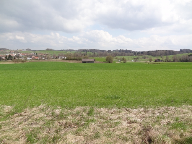 Nothingness in Bavaria, 