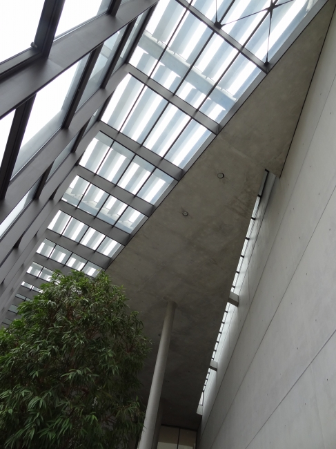 Ceiling, Pinakothek der Moderne, Munich