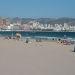 photo: 