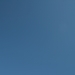 photo: 