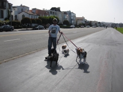 The longboard riding d...