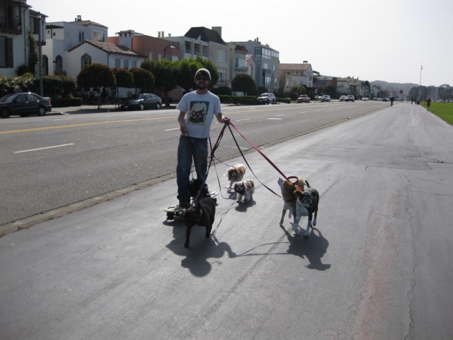 The longboard riding dog sitter, 
