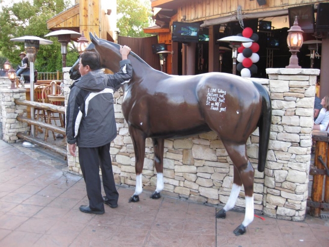 Japanese guy and horse, I love taking pictures but please, don't sit on me!