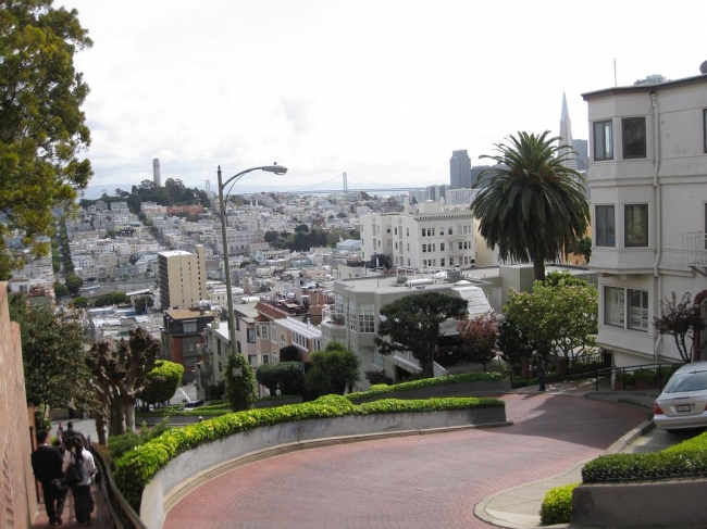 Lombard street, looking over SF