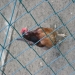 photo: 