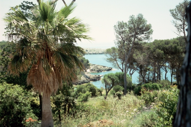 Hill in Cala Rajada, 