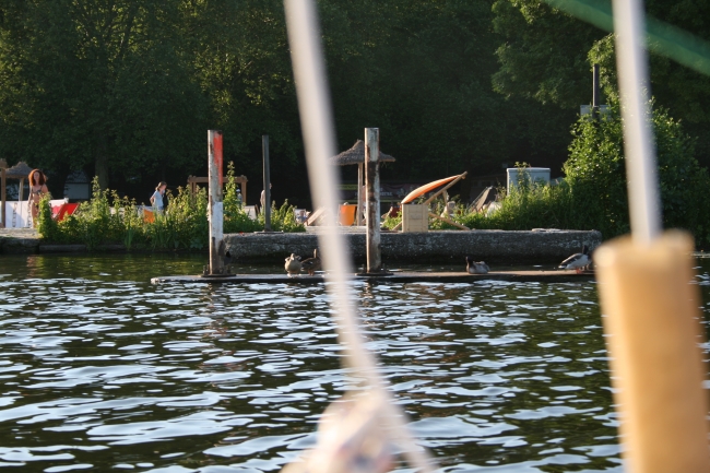 Enten am Ufer, Strandbad