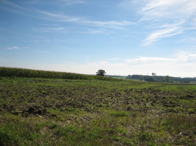 Feld im Nord-Westen von München, 