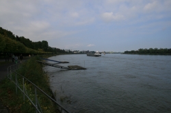 Rheinufer in Bonn