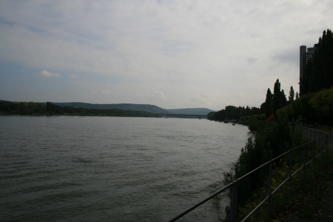 Der Rhein in Bonn mit Blick Richtung Drachenfels, 