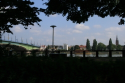Rheinbrücke (Kennedy B...