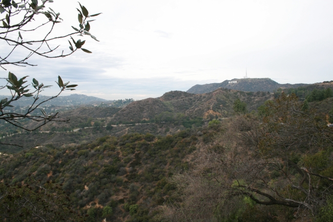 The Hollywood Sign and the rolling hills of Griffith Park, Near Griffith park Observatory