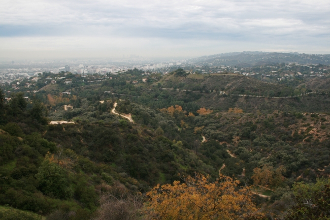 Southern part of Griffith Park, next to the Observatory, with the city in the background