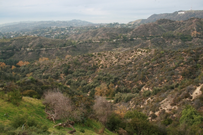 The Hollywood sign as seen from Griffith Park Observatory, in dim evening sunlight