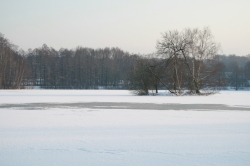 Insel im Rotbachsee