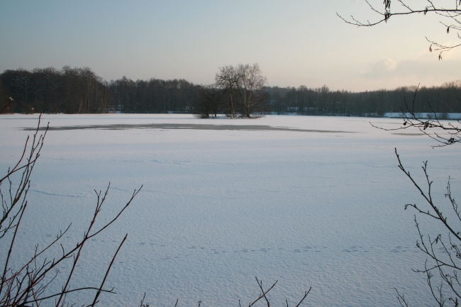 Tierspuren im Schnee, auf dem zugefrorenen Rotbach-See