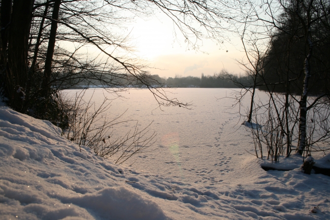 Wintersonne über dem Rotbachsee, 