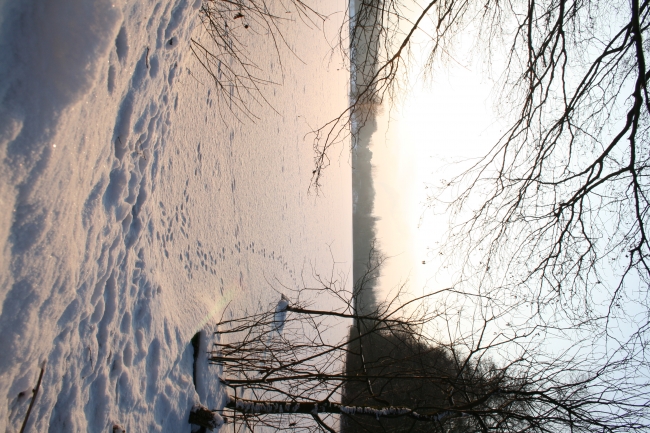 Wintersonne über dem Rotbachsee, vertikal, 