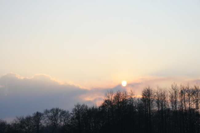 Wintersonne über dem Wald, 