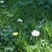 photo: 