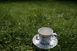 Kaffeetasse im Gras
