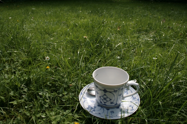 Kaffeetasse im Gras, 