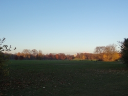 Große Wiese im Englisc...