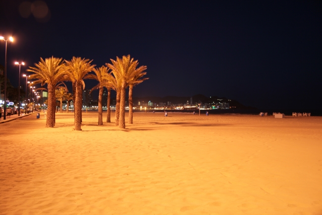 IMG_10022_Playa de Poniente.JPG, Palmen am Poniente Strand in La Cala