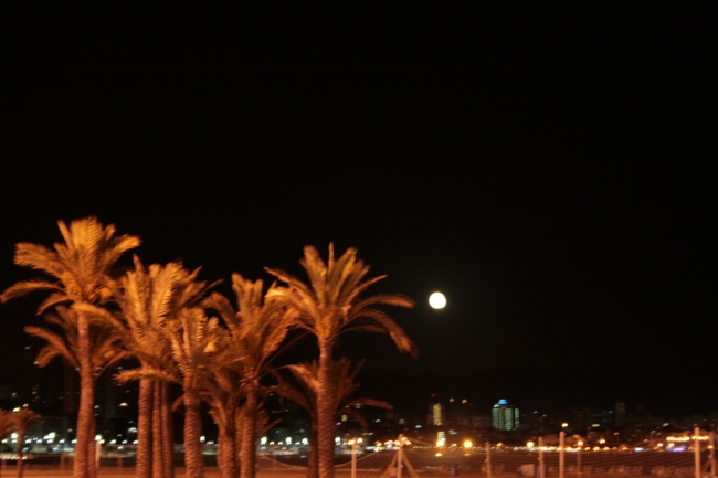 Nacht, Mond über Benidorm