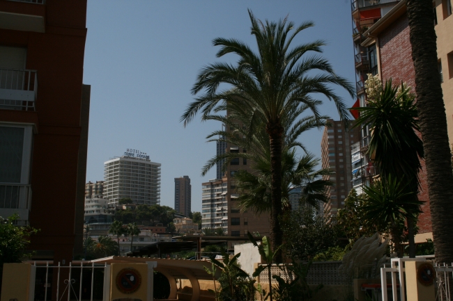 Torre Dorada und Bali hinter einer Palme, neben Edif Pax, 