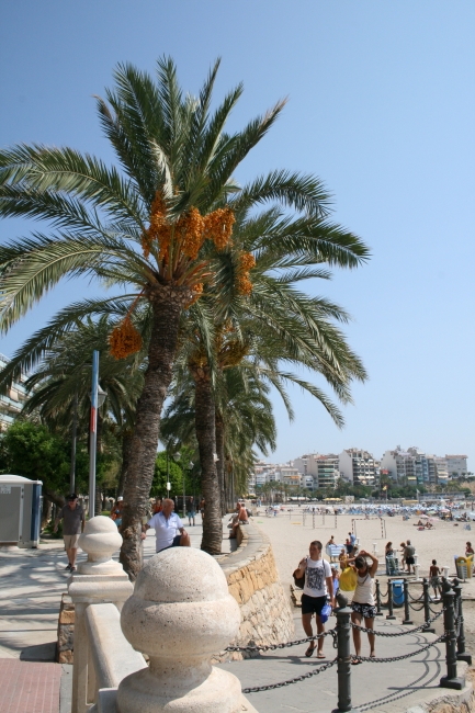 Strand an der Calle San Pedro, 