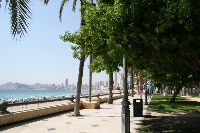 Parc d'Elx mit Blick Richtung Poniente und Hotel Bali, 