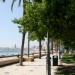 photo: 