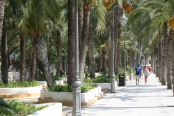 Promenade im Parc d'Elx