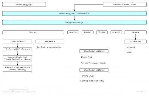 Holding Organization Chart