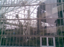 Barbican conservatory