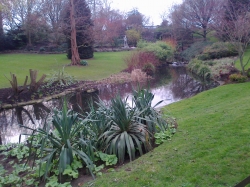 Hyde Park gardens