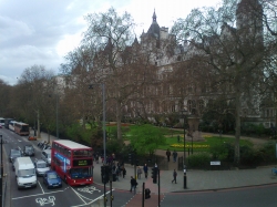 The Park at the library