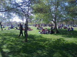More people in Hyde Park