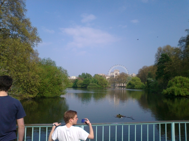 St. James's park looking to London Eye, 