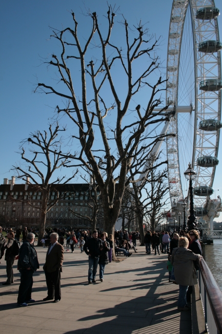 Tourists and people at Southbank, 