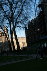 Side of Westminster Abbey