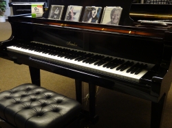 Irmler Concert Piano