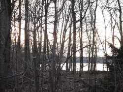 Blick auf den Wolfsee